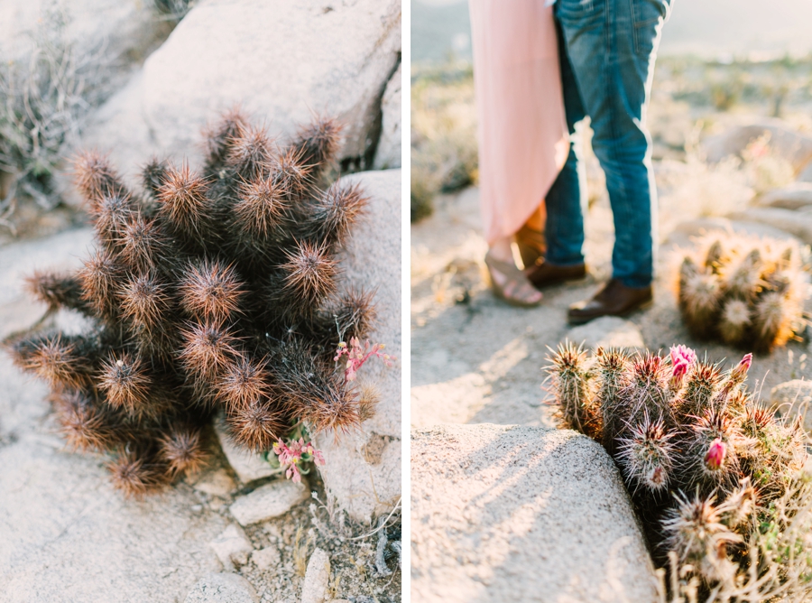 JoshuaTree_PhotoShoot-016