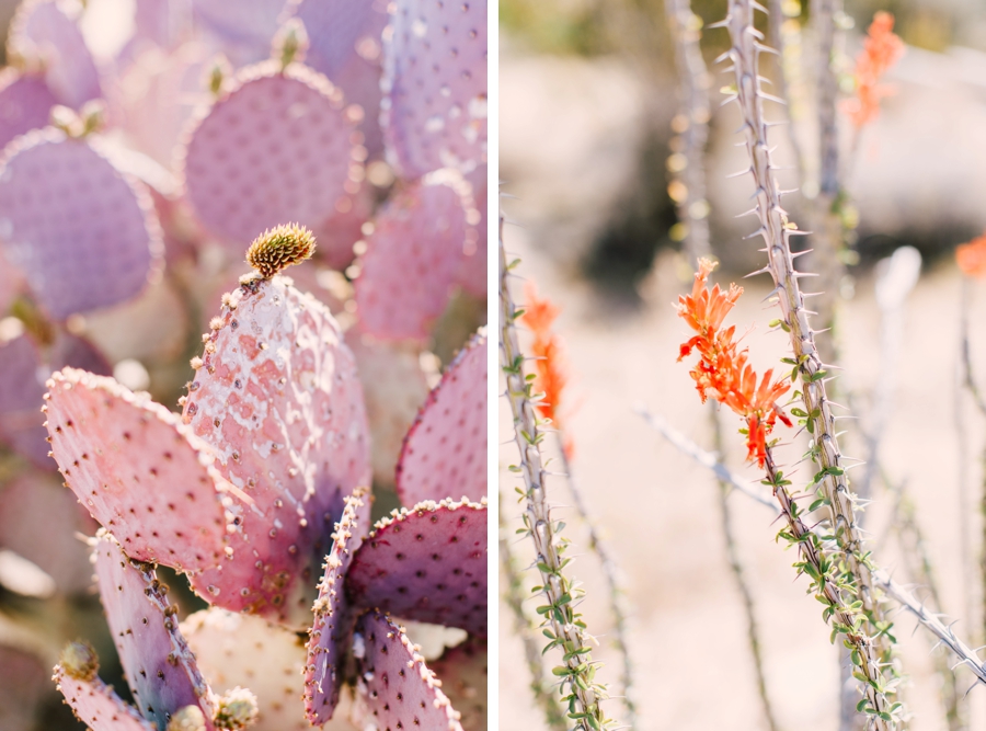 JoshuaTree_PhotoShoot-060