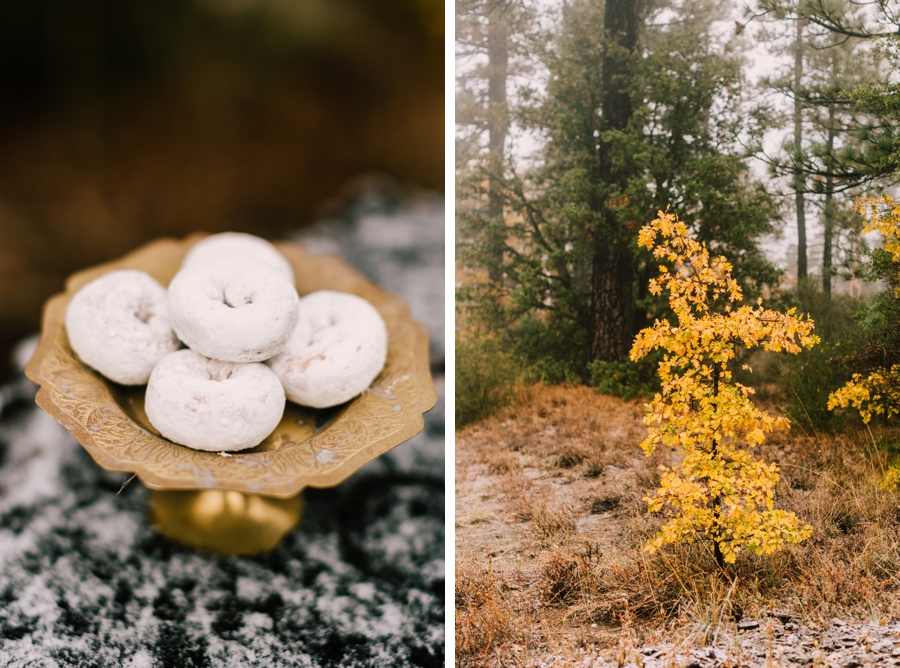 MountainWedding_ForestWedding001