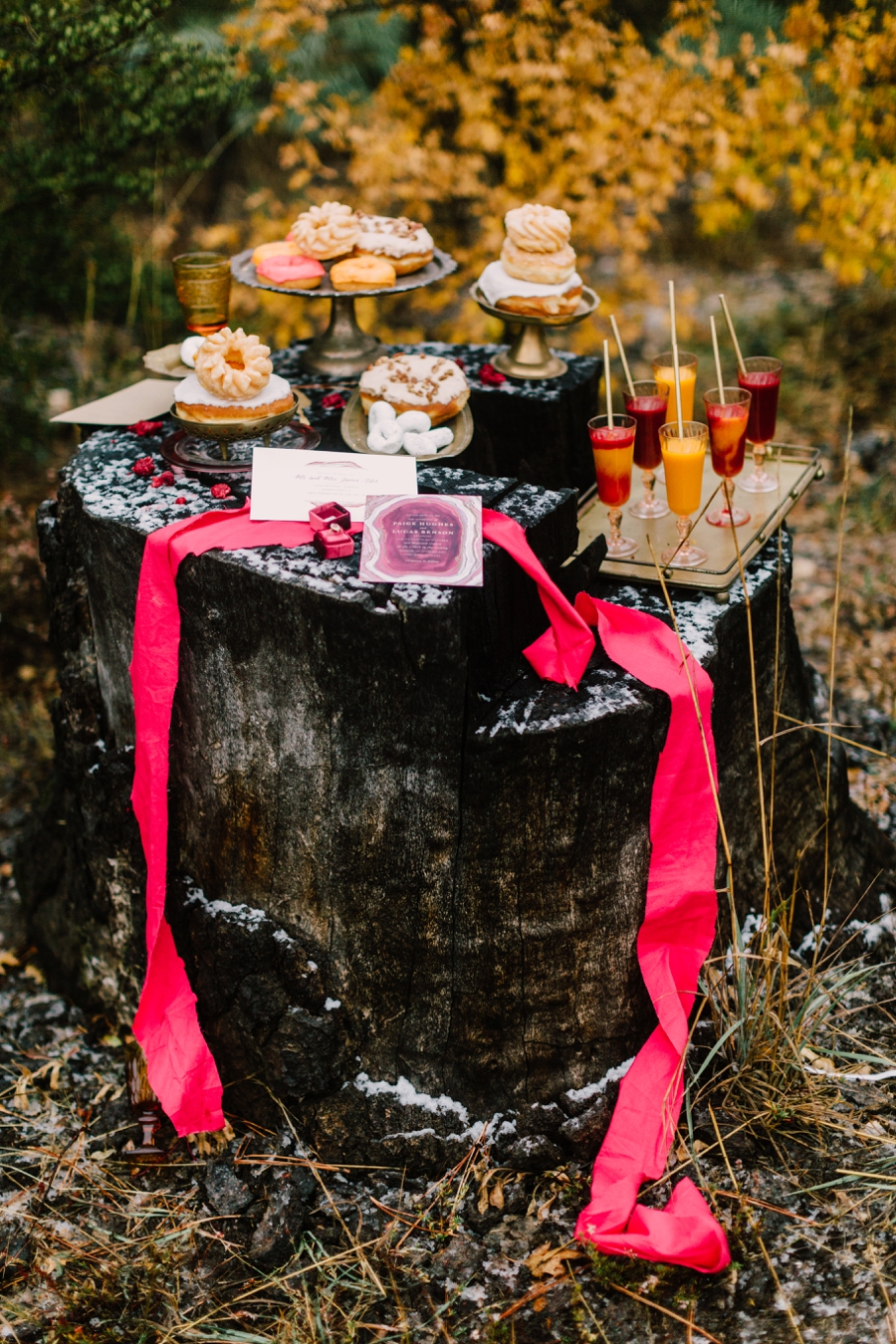 MountainWedding_ForestWedding007