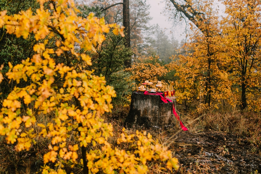 MountainWedding_ForestWedding008